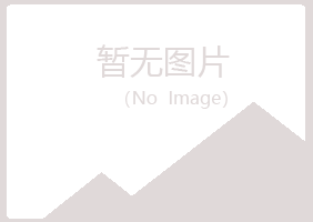 百色埋没音乐有限公司